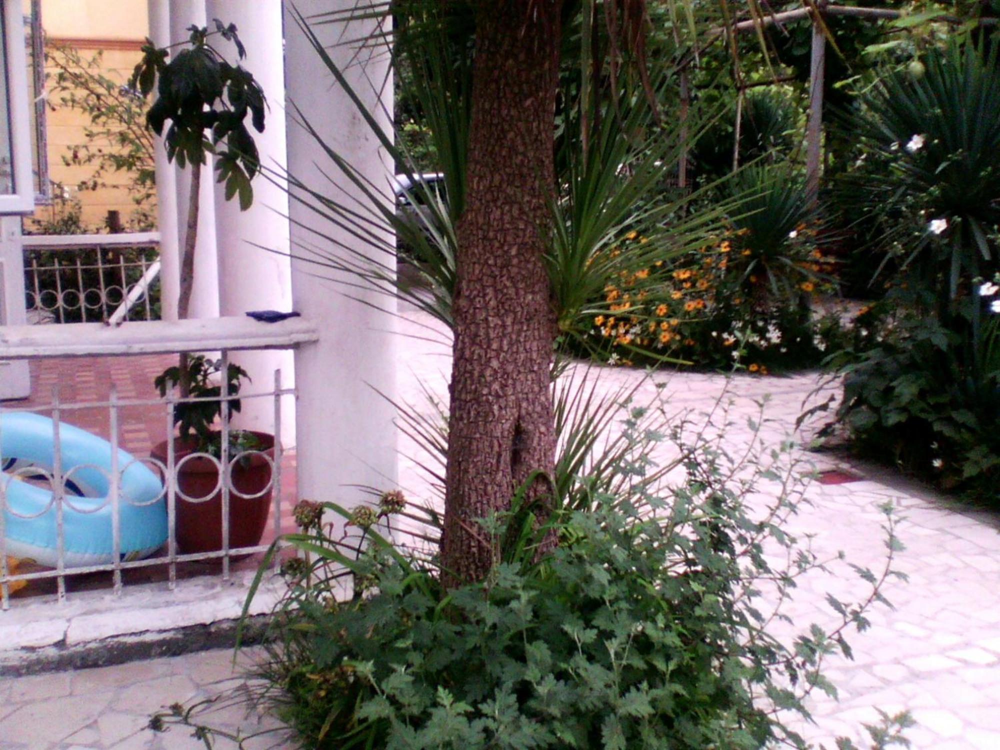באטומי White Guest House מראה חיצוני תמונה