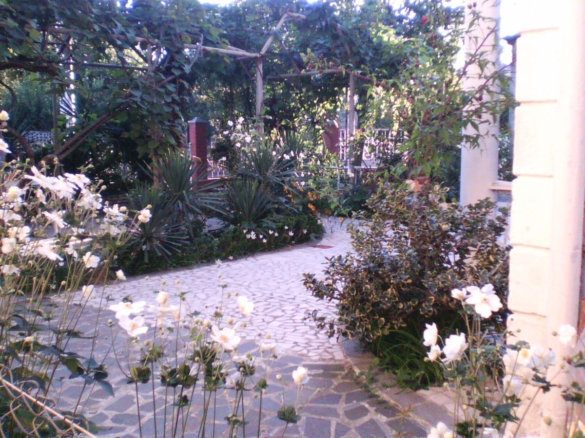באטומי White Guest House מראה חיצוני תמונה